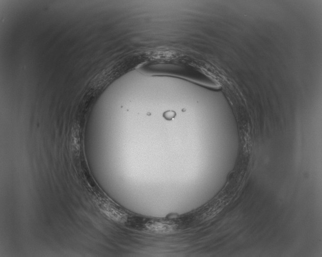 X0000083530561200702240021