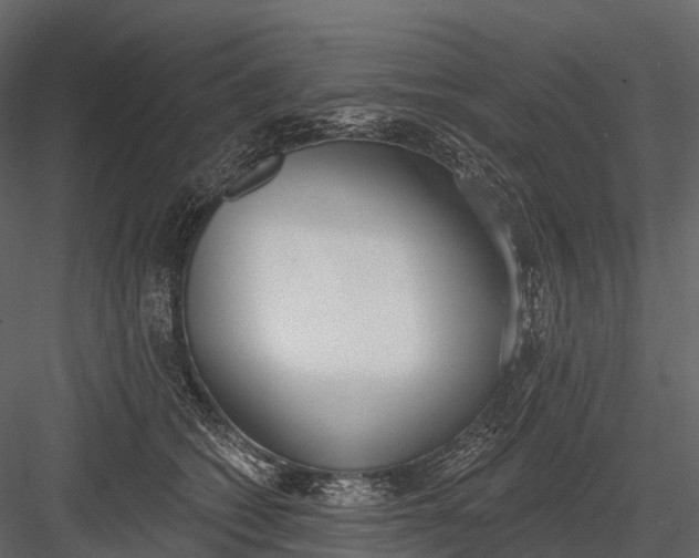 X0000083530562200702240021