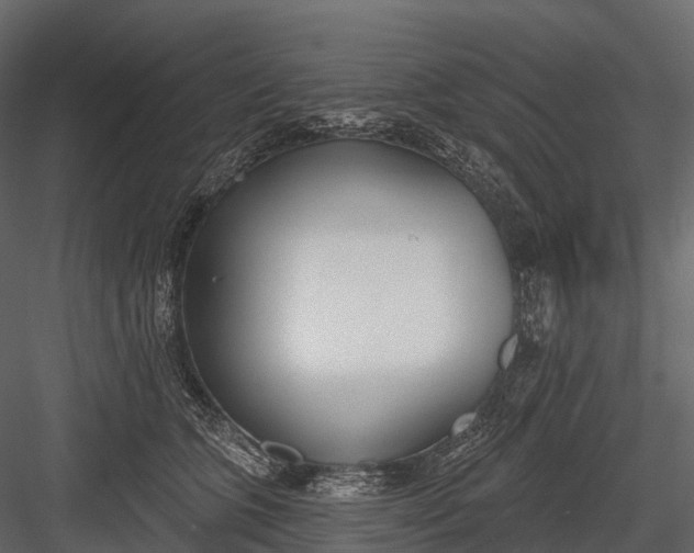 X0000083530563200702240021