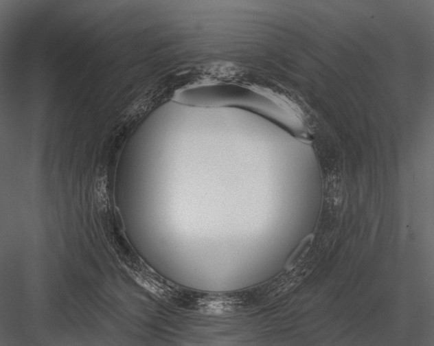 X0000083530564200702240021