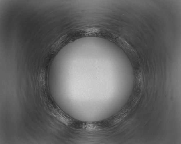 X0000083530565200702240021