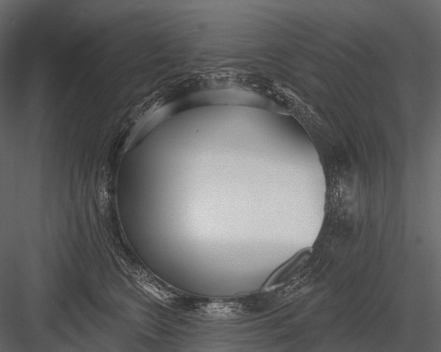 X0000083530566200702240021