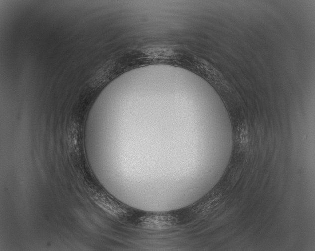 X0000083530567200702240021