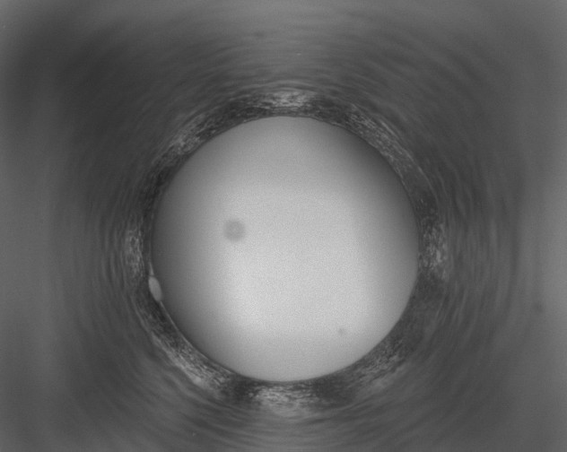 X0000083530568200702240021