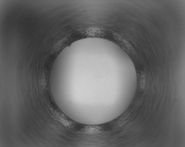 X0000083530569200702240021