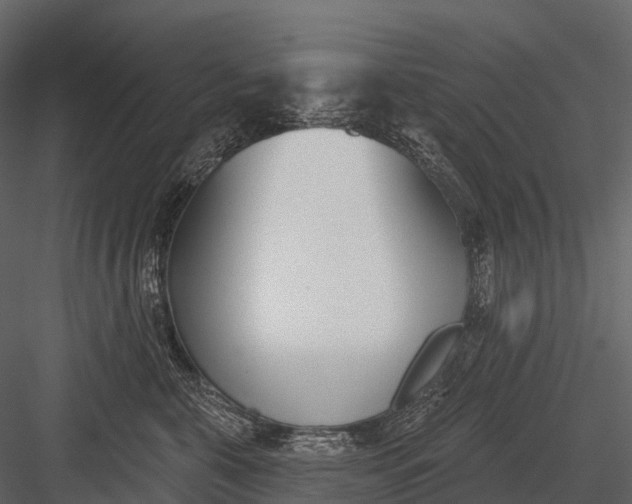 X0000083530571200702240021