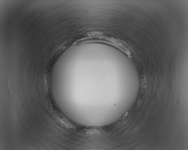 X0000083530572200702240021