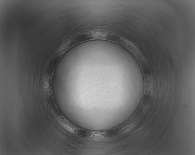 X0000083530573200702240021