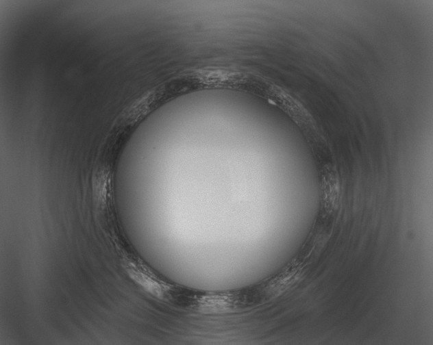 X0000083530574200702240021