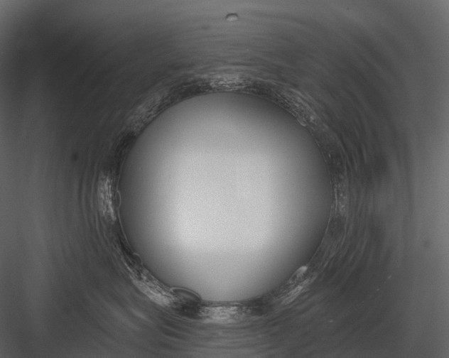 X0000083530575200702240021