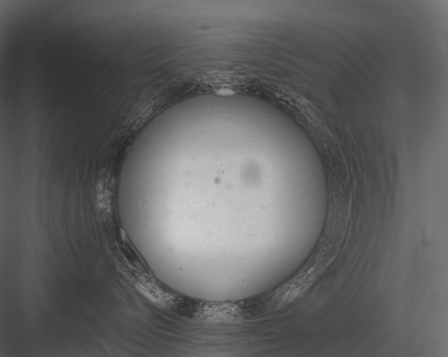 X0000083530576200702240021