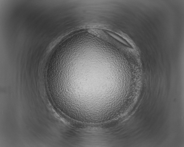 X0000083530577200702240020