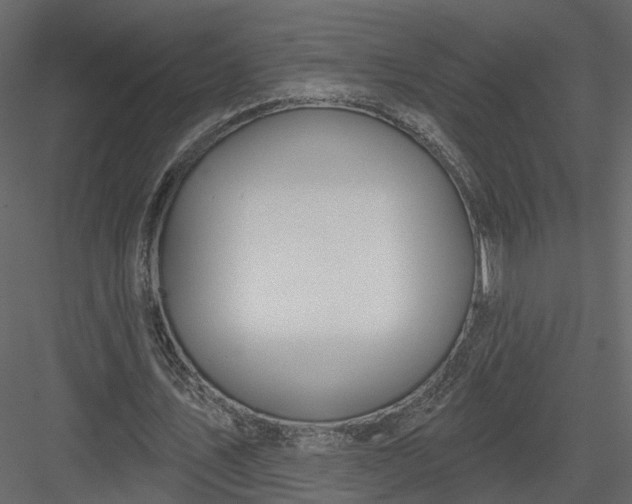 X0000083530579200702240020