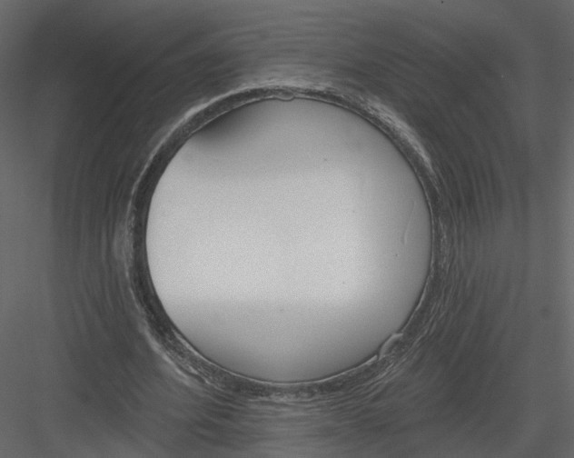 X0000083530580200702240020