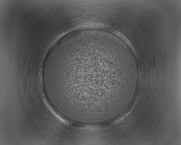 X0000083530581200702240020