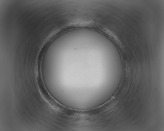 X0000083530582200702240020