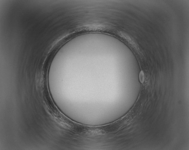 X0000083530583200702240020