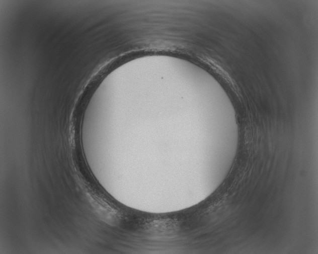 X0000083530584200702240020