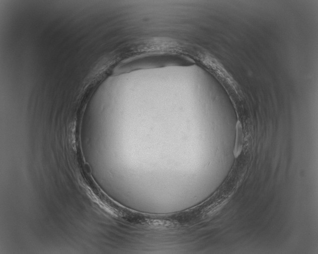 X0000083530585200702240020