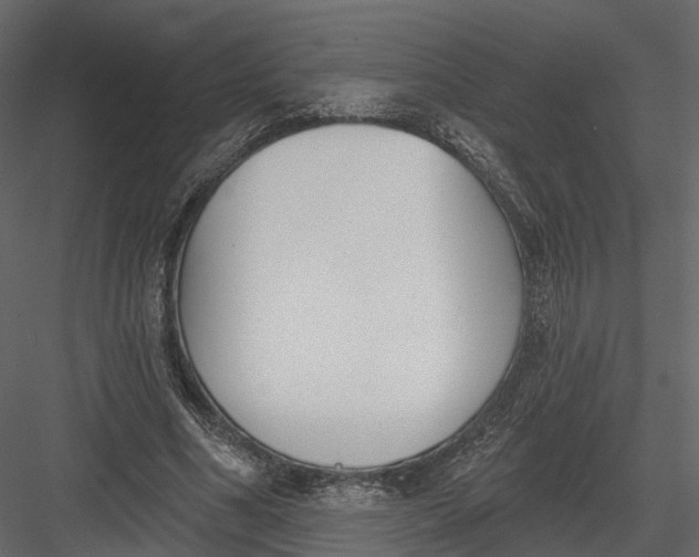 X0000083530586200702240020