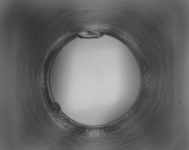 X0000083530587200702240020