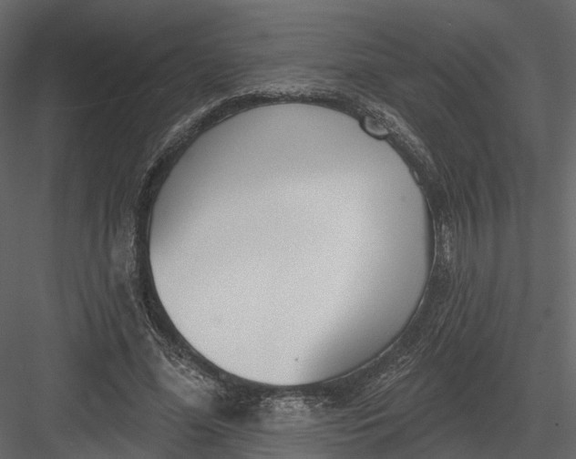 X0000083530588200702240020