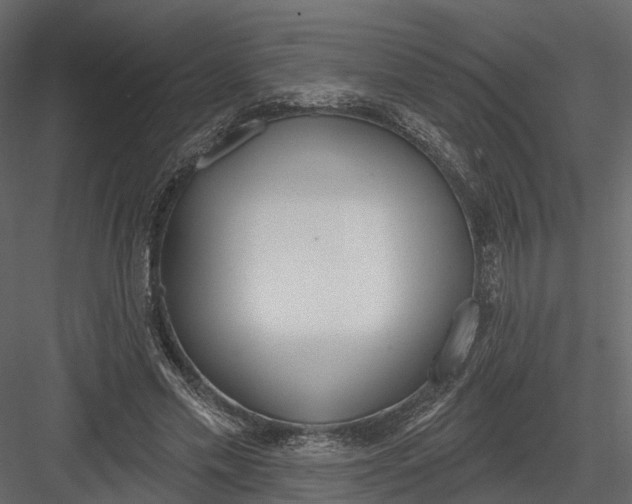 X0000083530589200702240020