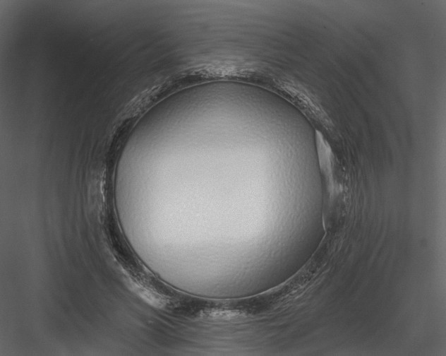 X0000083530590200702240020