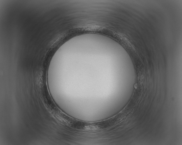 X0000083530591200702240020