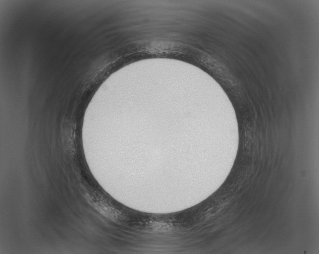 X0000083530592200702240020