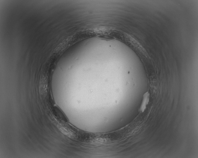 X0000083530593200702240020