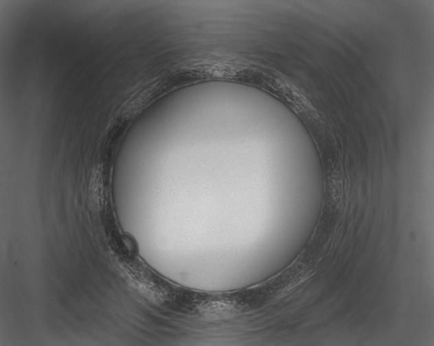 X0000083530594200702240020