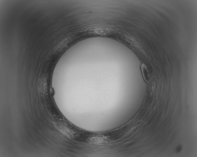 X0000083530595200702240020