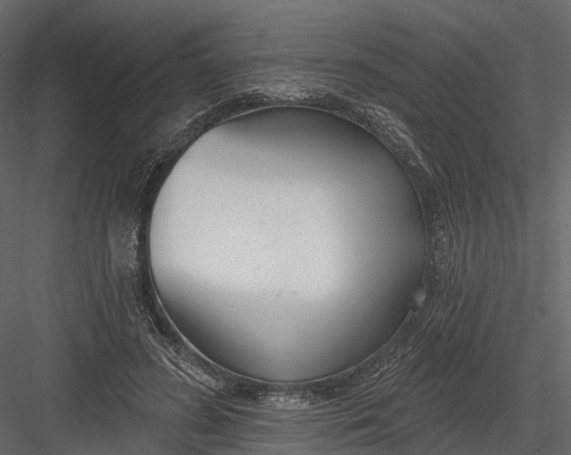 X0000083530596200702240020