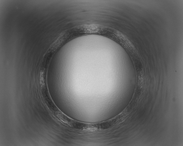 X0000083530598200702240020