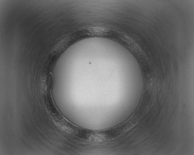 X0000083530599200702240020