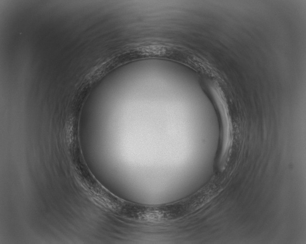 X0000083530600200702240020