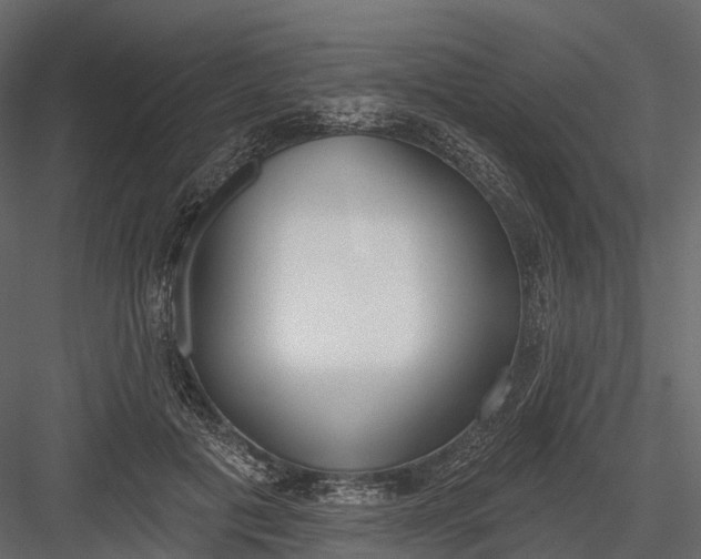 X0000083530601200702240020