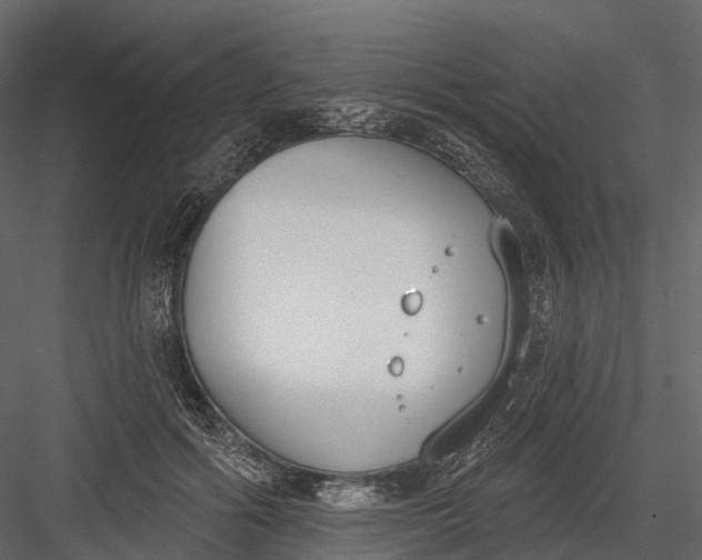 X0000083530602200702240020