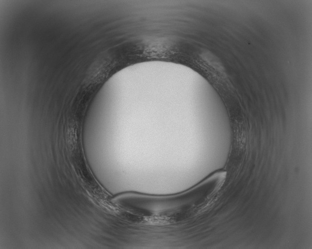 X0000083530603200702240020