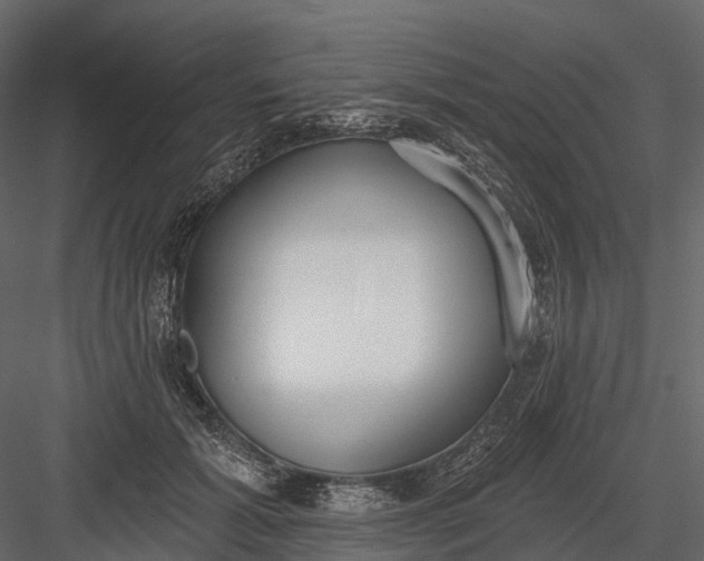 X0000083530605200702240020