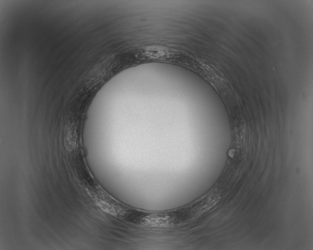 X0000083530606200702240020