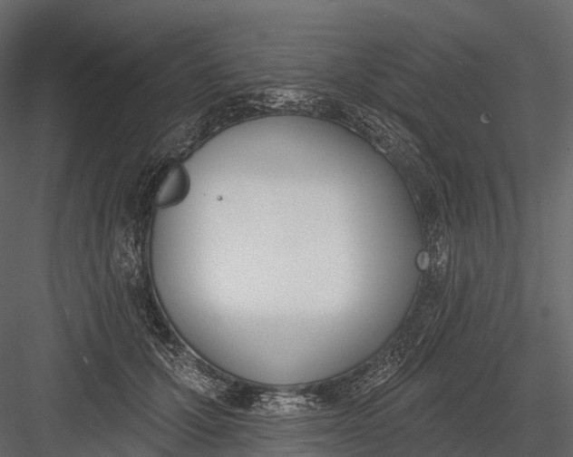 X0000083530607200702240020