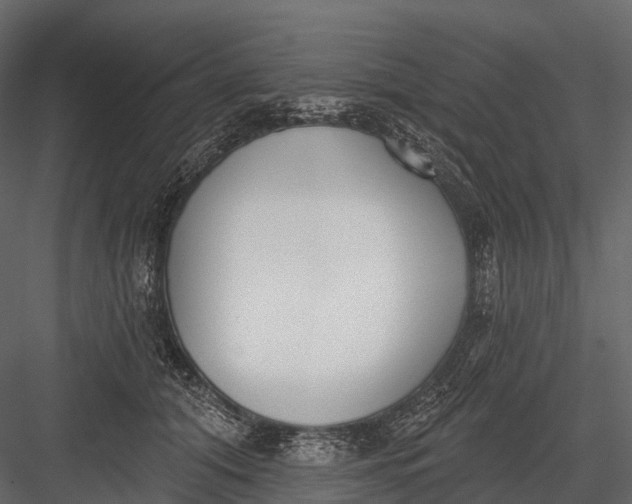 X0000083530608200702240020