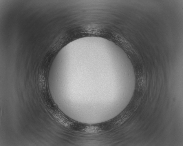 X0000083530609200702240020