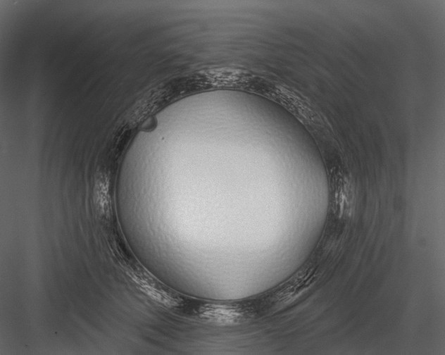 X0000083530610200702240020