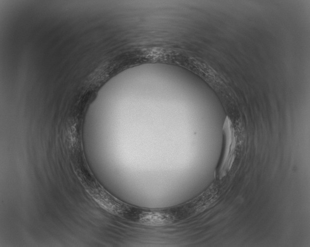 X0000083530611200702240020