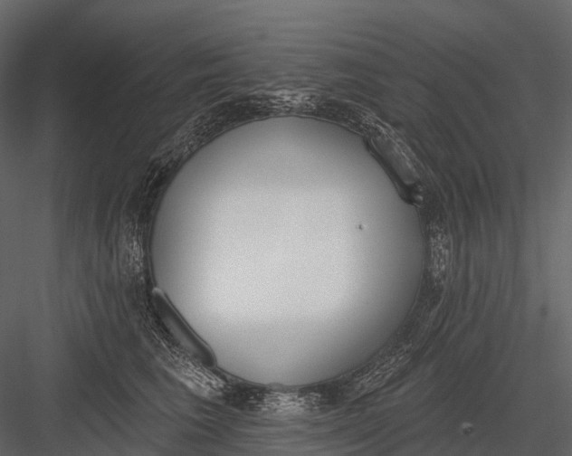 X0000083530613200702240020