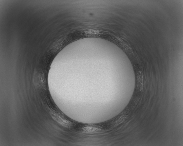 X0000083530614200702240020