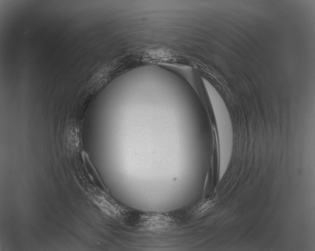 X0000083530621200702240020